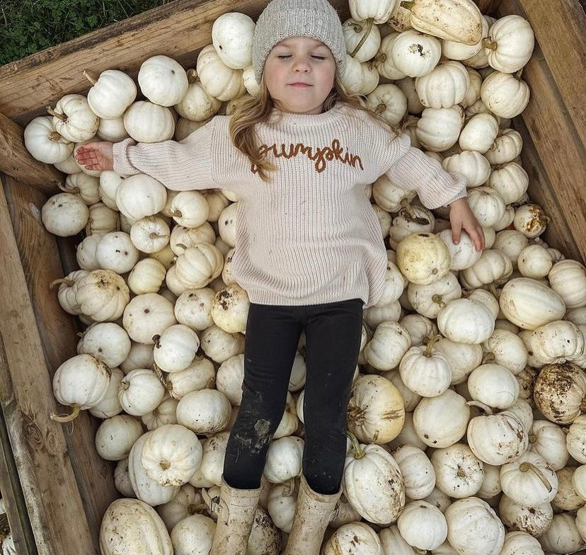 Classic Knitted Pumpkin jumper