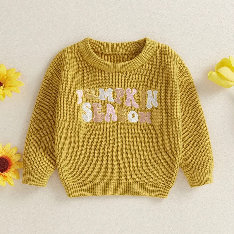 Pumpkin season sweater