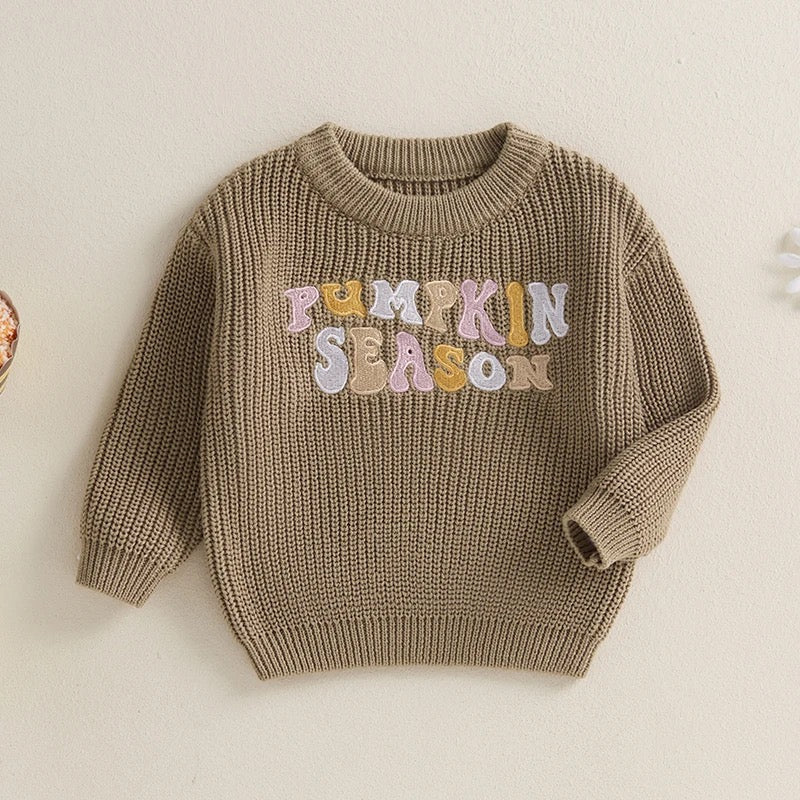 Pumpkin season sweater